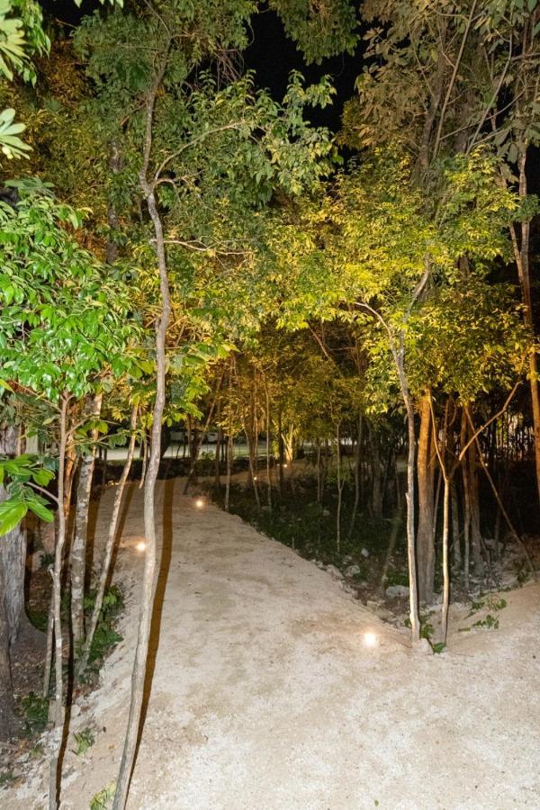 Condo Residencial Selvanova VIII ปลายาเดลการ์เมน ภายนอก รูปภาพ
